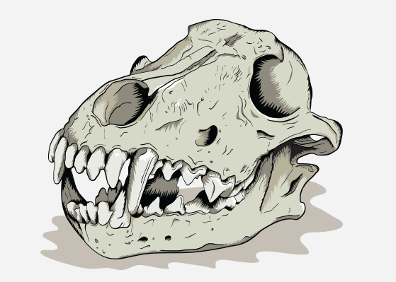 Wolf Skull